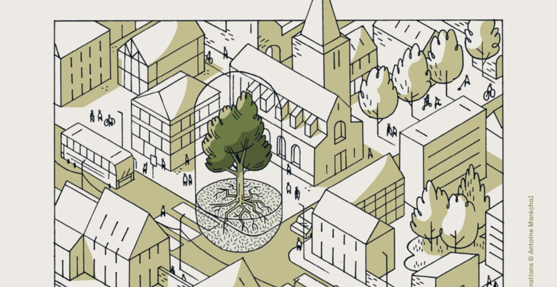 législation arbre